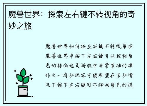 魔兽世界：探索左右键不转视角的奇妙之旅